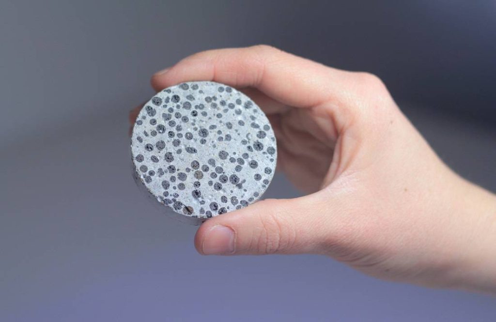 Bacterial concrete